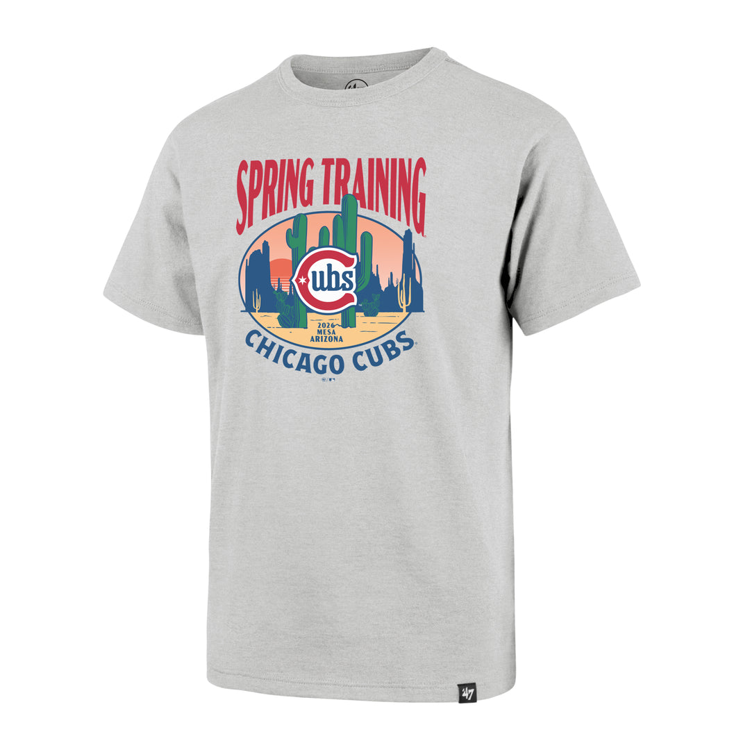 Chicago Cubs Blues Alt Grey Youth Short Sleeve Tee by '47 Brand - Ivy Shop