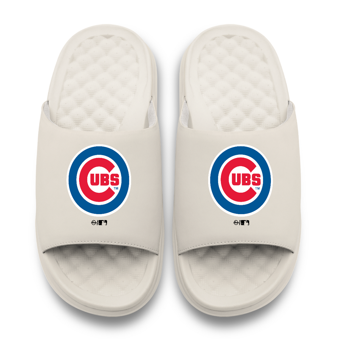 Chicago Cubs Primary Motive Slides by ISlide Slides ISlide