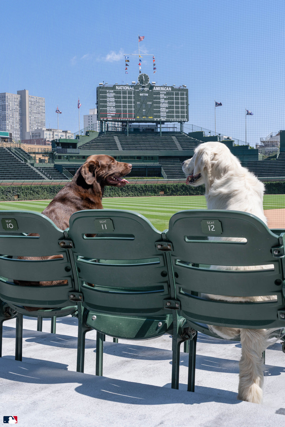 Best Seats in the House, Wrigley Field™, Chicago Photography Gray Malin