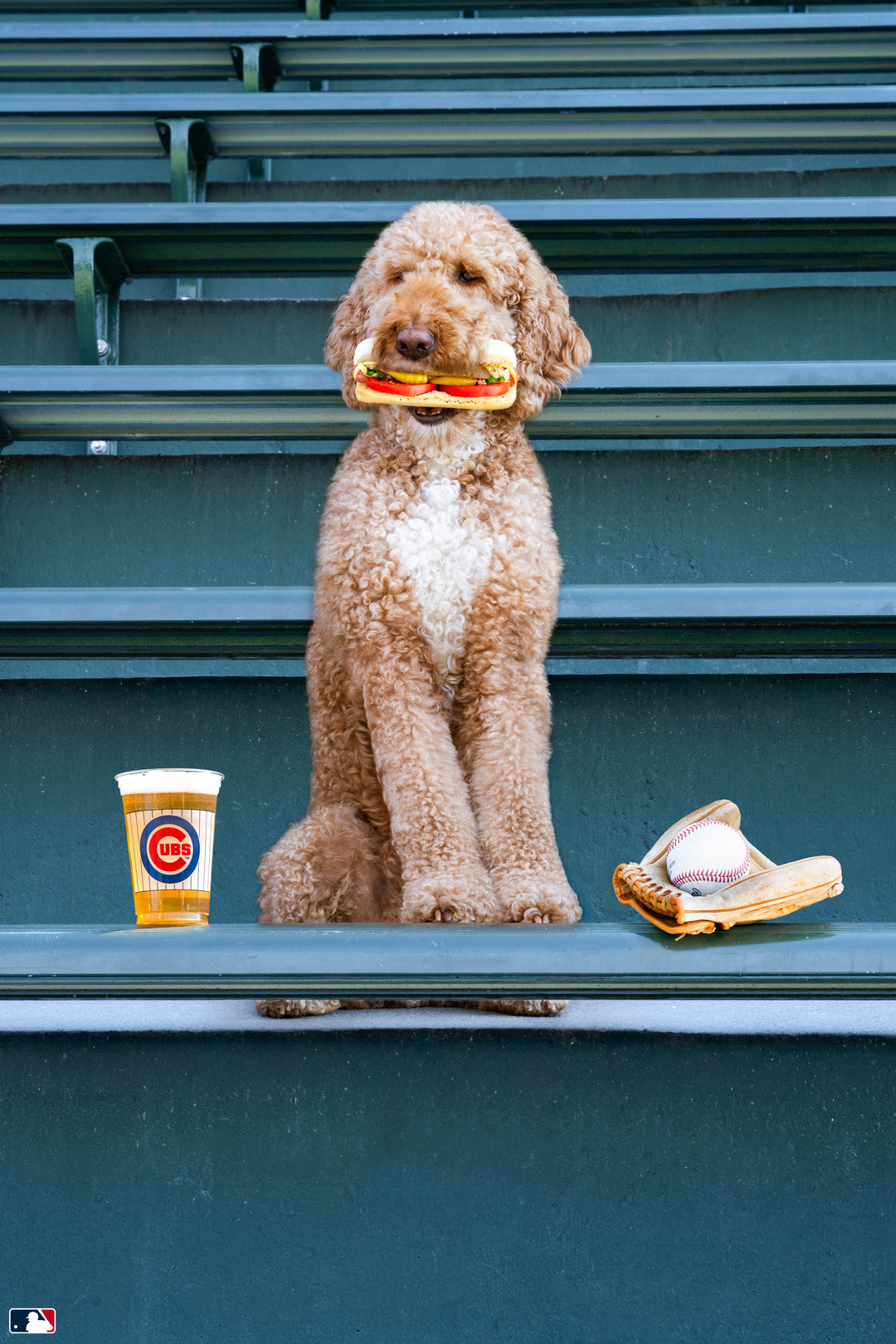 Chicago Dog, Wrigley Field™, Chicago Photography Gray Malin