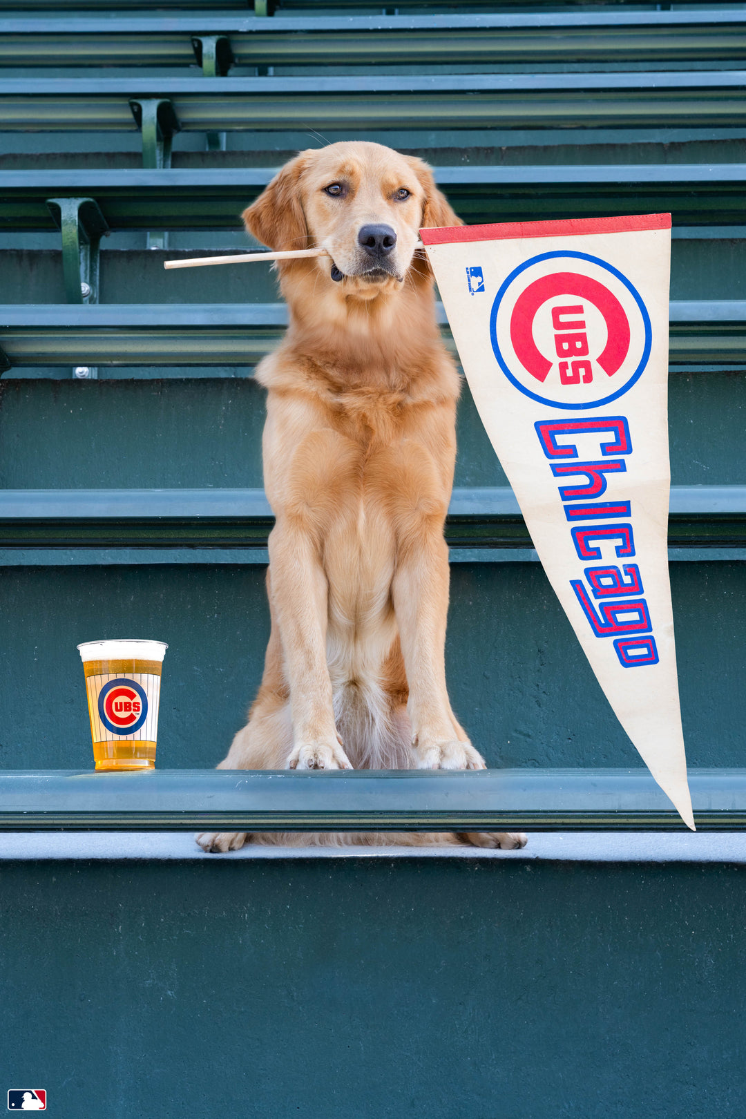 Cubs Spirit, Wrigley Field™, Chicago Photography Gray Malin