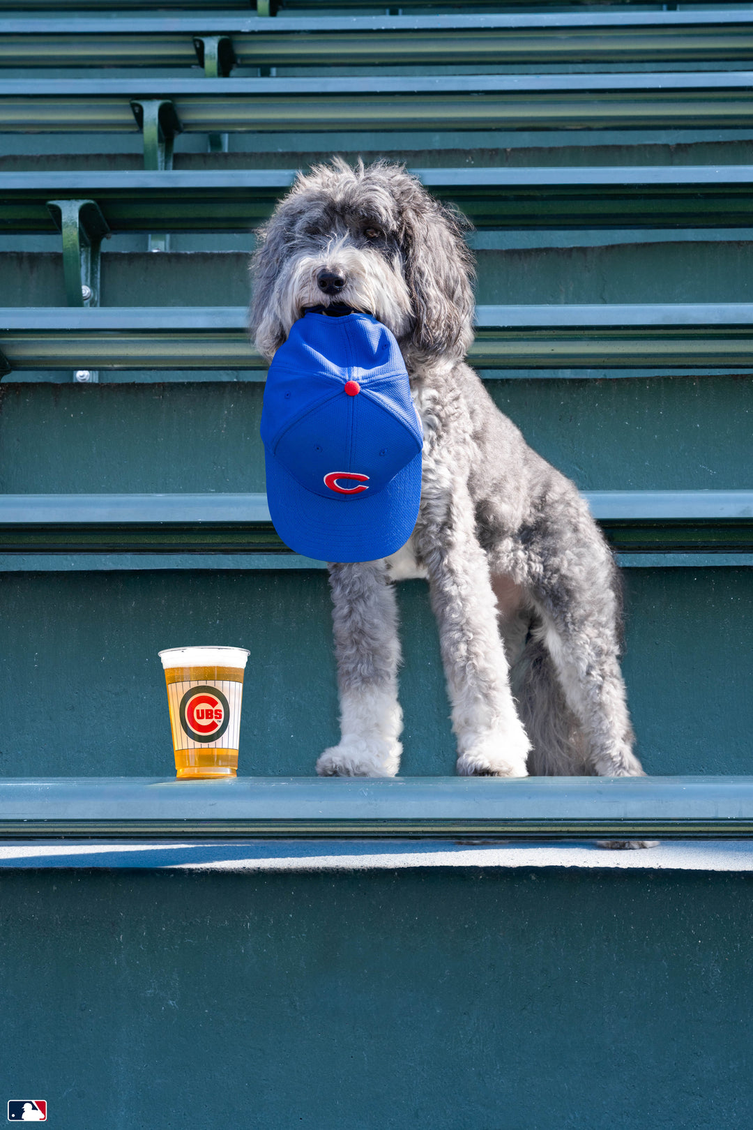 Hat Trick, Wrigley Field™, Chicago Photography Gray Malin