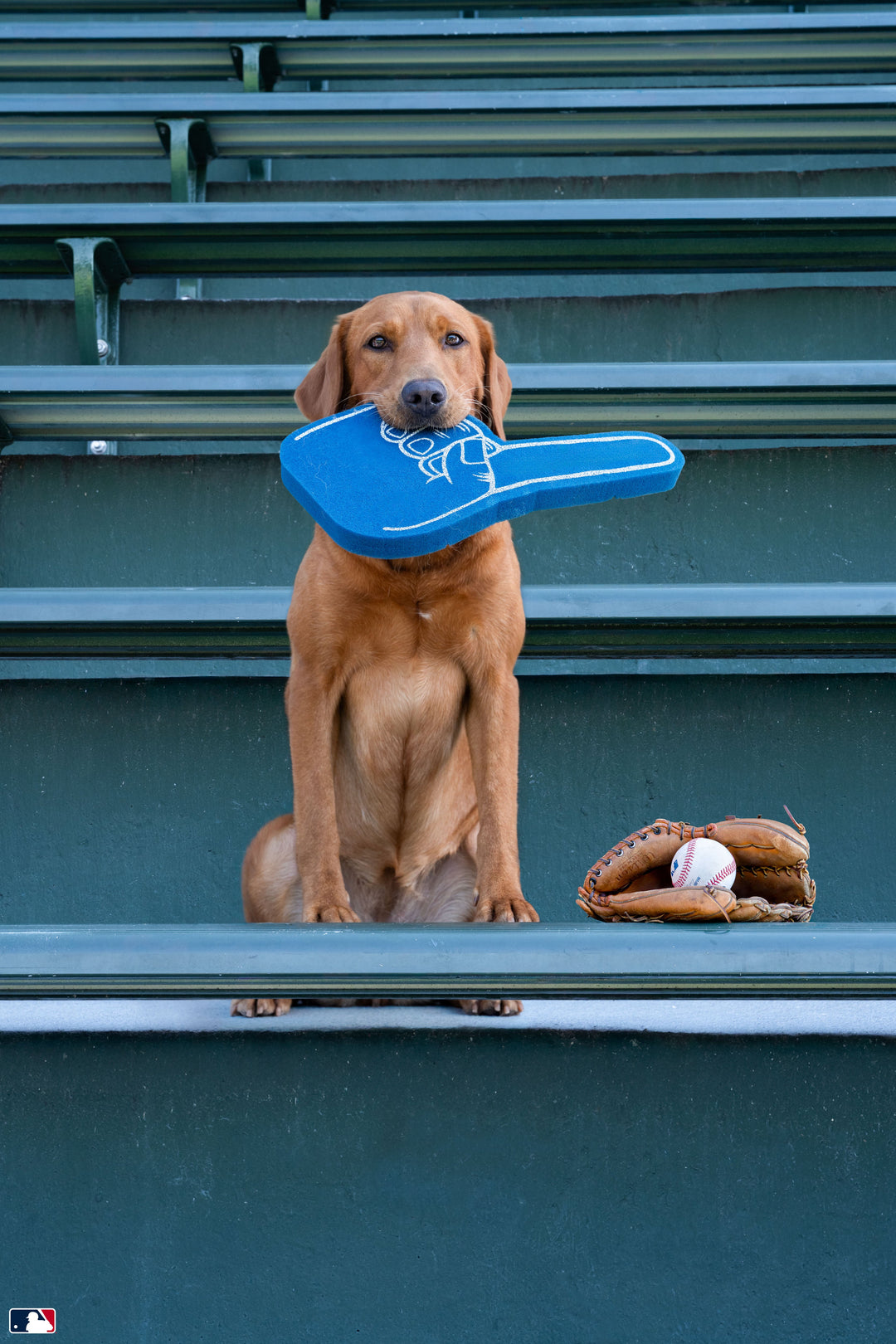 Number One Fan, Wrigley Field™, Chicago Photography Gray Malin