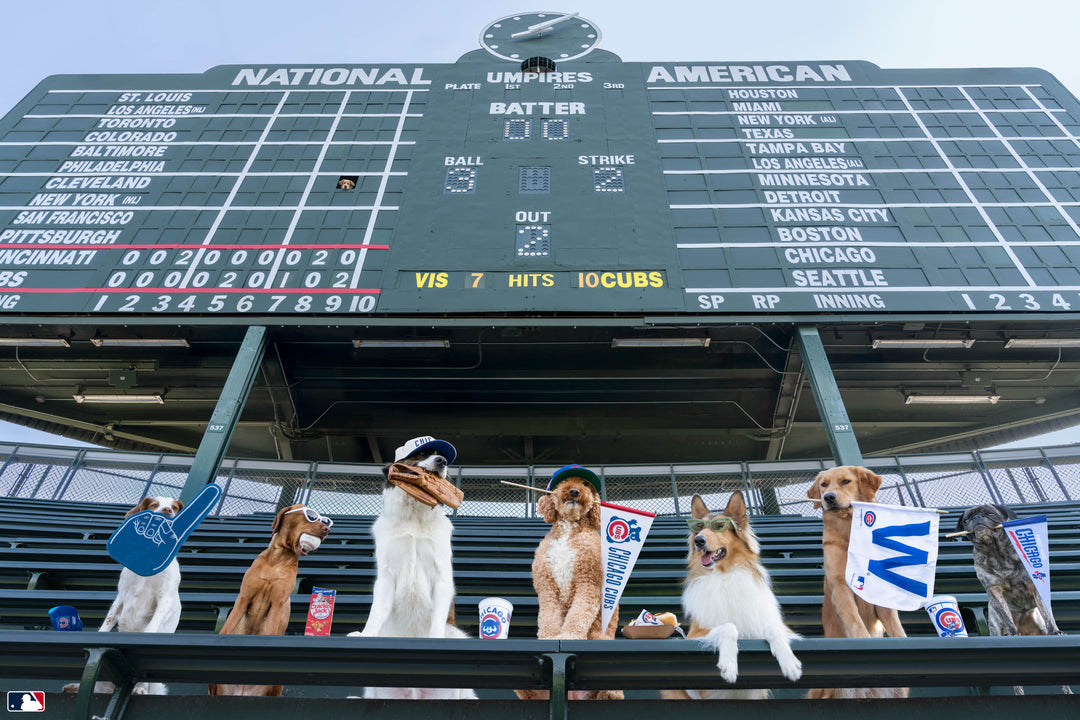 The Crowd Goes Wild, Wrigley Field™, Chicago Photography Gray Malin
