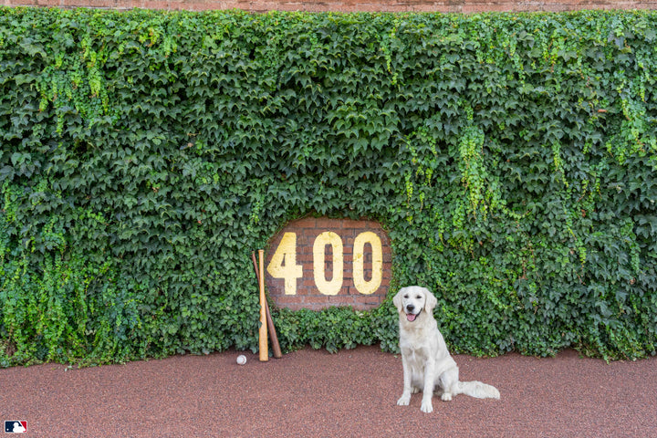 The Heart of Wrigley, Wrigley Field™, Chicago Photography Gray Malin