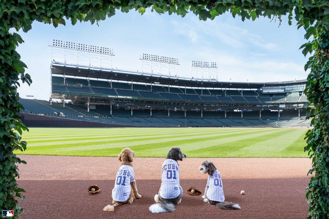 The Outfielders, Wrigley Field™, Chicago Photography Gray Malin