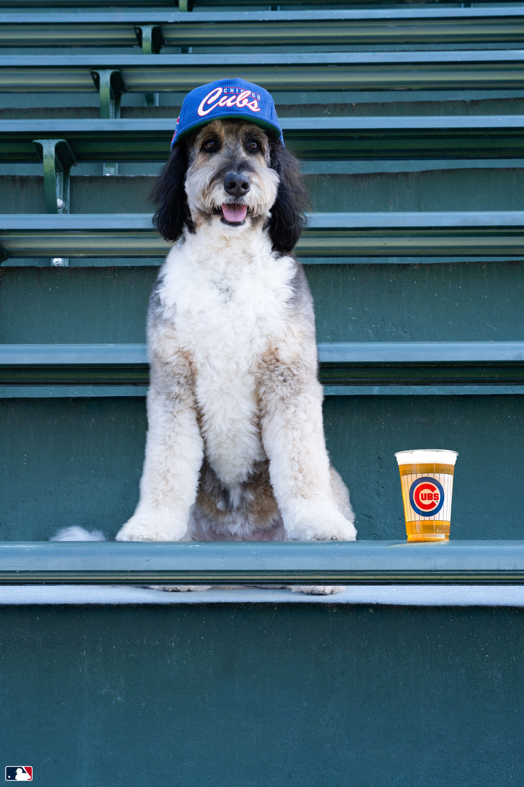 The Season Ticket Holder, Wrigley Field™, Chicago Photography Gray Malin