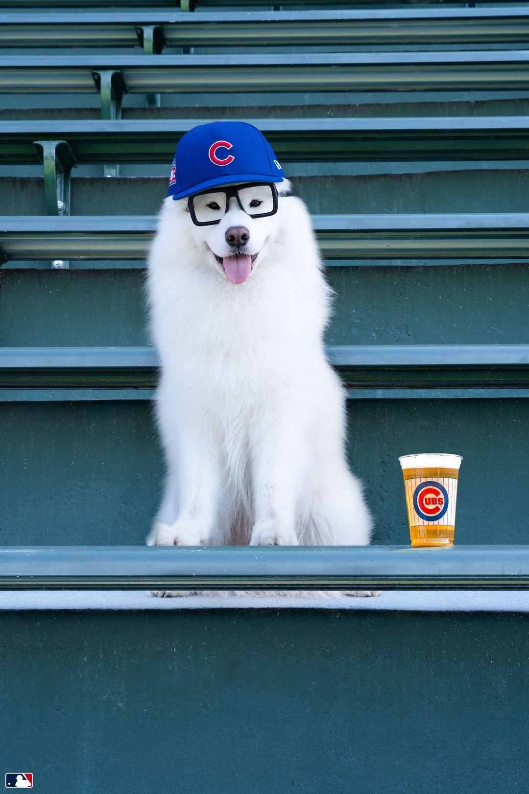 The Sportscaster, Wrigley Field™, Chicago Photography Gray Malin