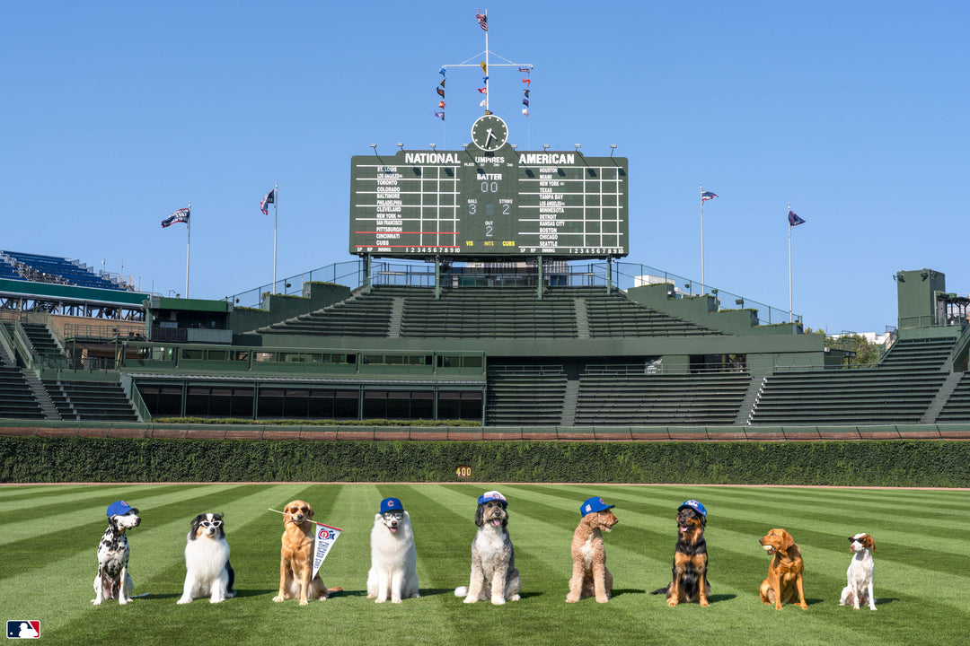 The Starting Lineup, Wrigley Field™, Chicago Photography Gray Malin