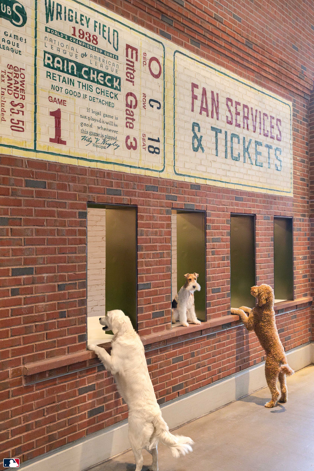 Ticket Counter, Wrigley Field™, Chicago Photography Gray Malin